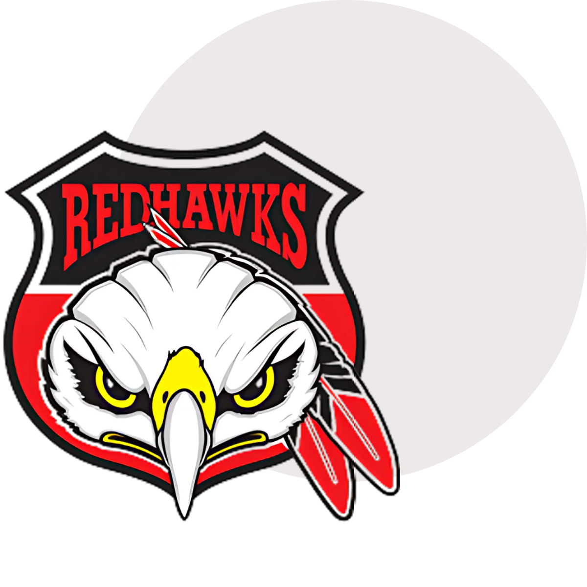 AI & Machine Learning Malmo Redhawks Customer Case